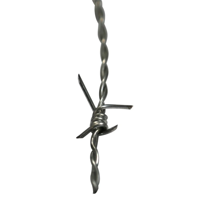 Barbed Wire27 Barbed Wire27