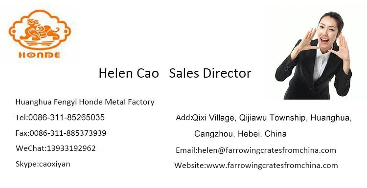 contact