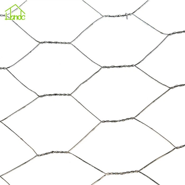 Galvanized Hexagonal Wire Mesh