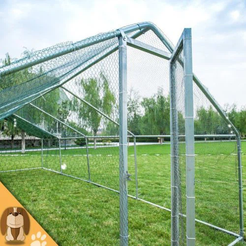 เดินในการวิ่งไก่