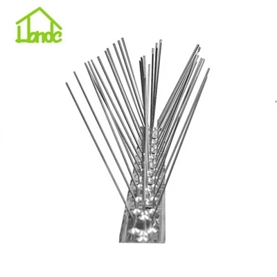 ทุกสิ่งที่คุณต้องการรู้เกี่ยวกับ Bird Spikes