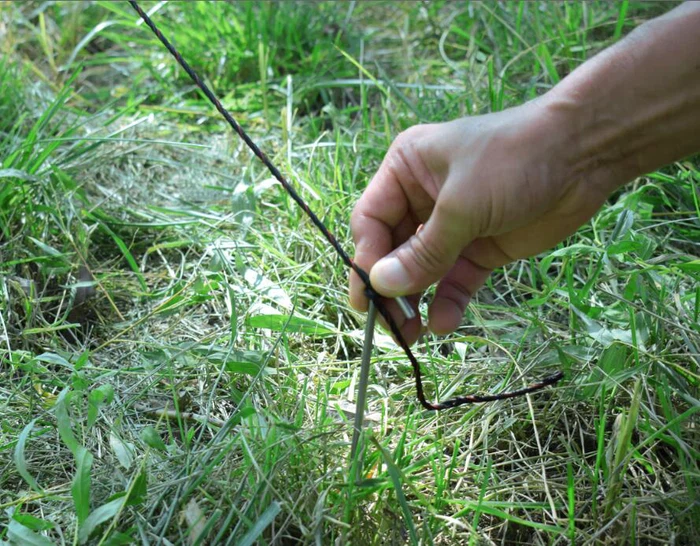 info-889-694 info-889-694